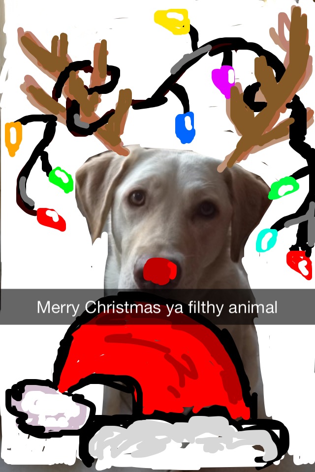Dog as Reindeer